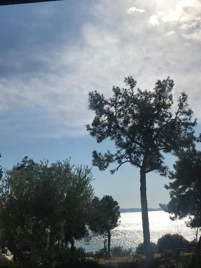Halkidiki Trikorfo Luxury Maisonette